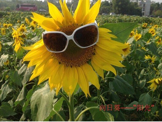 3_proc.jpg 3_proc.jpg