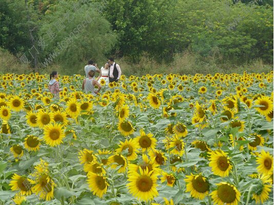 9_proc.jpg 9_proc.jpg