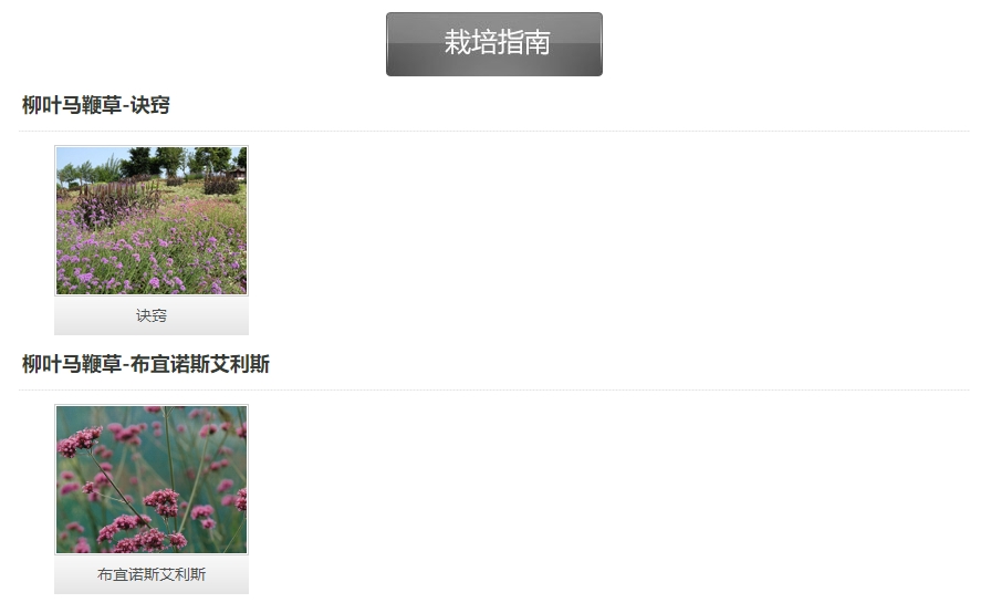 微信截圖_20241128113244.png 微信截圖_20241128113244.png