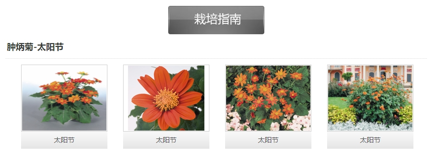 微信截圖_20241128113715.png 微信截圖_20241128113715.png