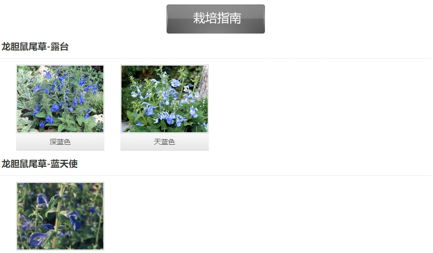 微信截圖_20241211105115.png 微信截圖_20241211105115.png