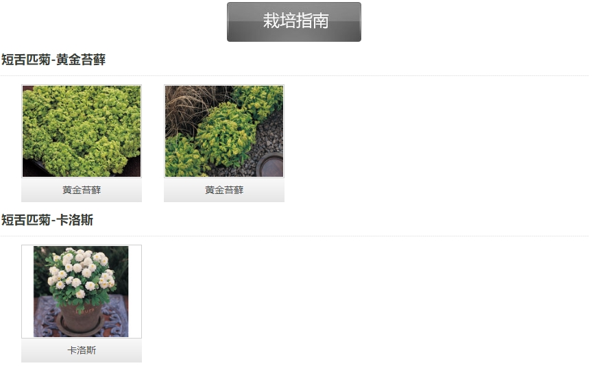 微信截圖_20241213093923.png 微信截圖_20241213093923.png