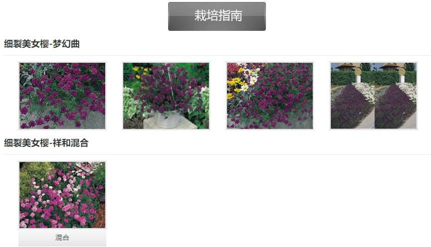 微信截圖_20241213094221.png 微信截圖_20241213094221.png