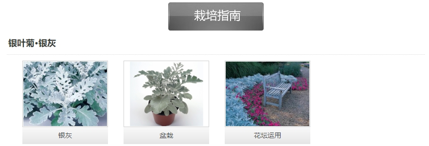 微信截圖_20241129163252.png 微信截圖_20241129163252.png