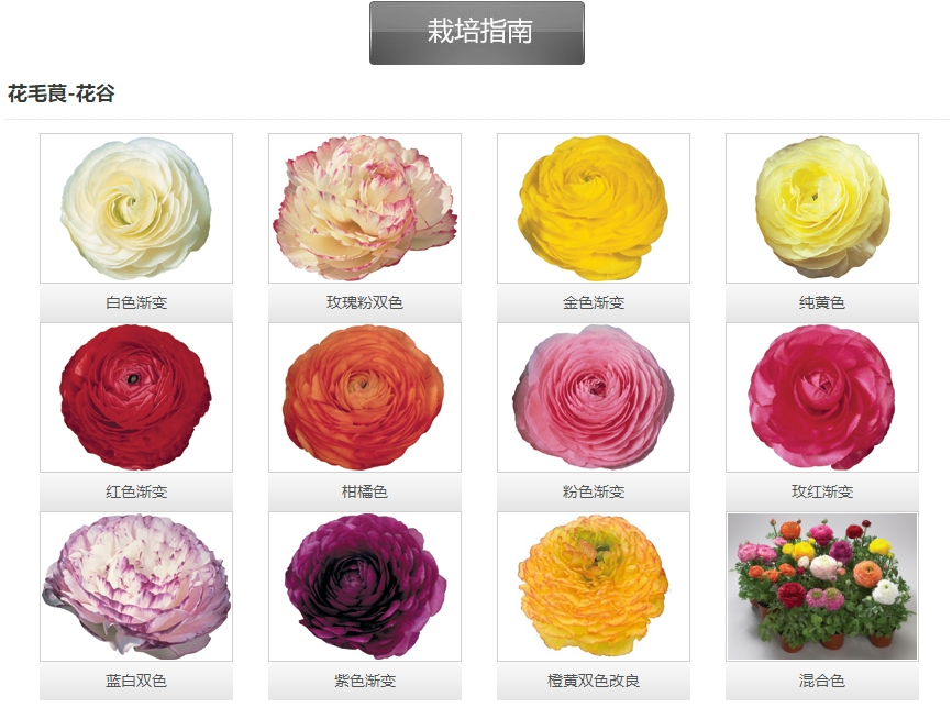 微信截圖_20241204164245.png 微信截圖_20241204164245.png