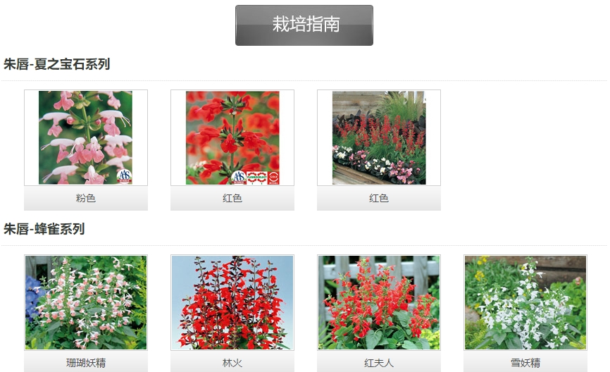 微信截圖_20241206153050.png 微信截圖_20241206153050.png