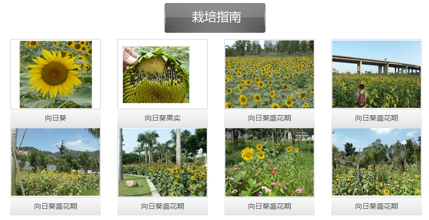 微信截圖_20241226161349.png 微信截圖_20241226161349.png