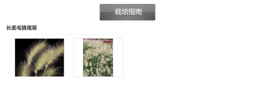 微信截圖_20250107164434.png 微信截圖_20250107164434.png